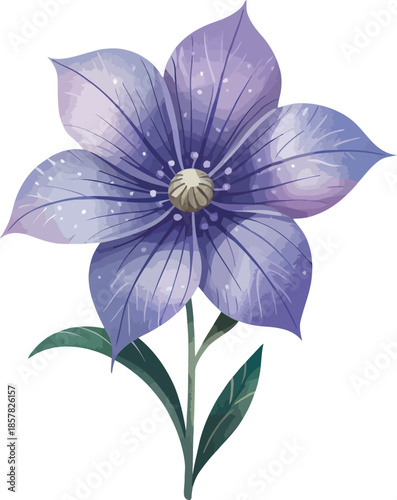 Beautiful purple bellflower watercolor vector illustration with soft artistic style for design logo needs.