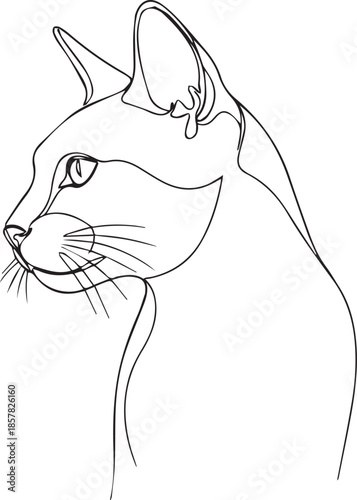 Elegant cat silhouette