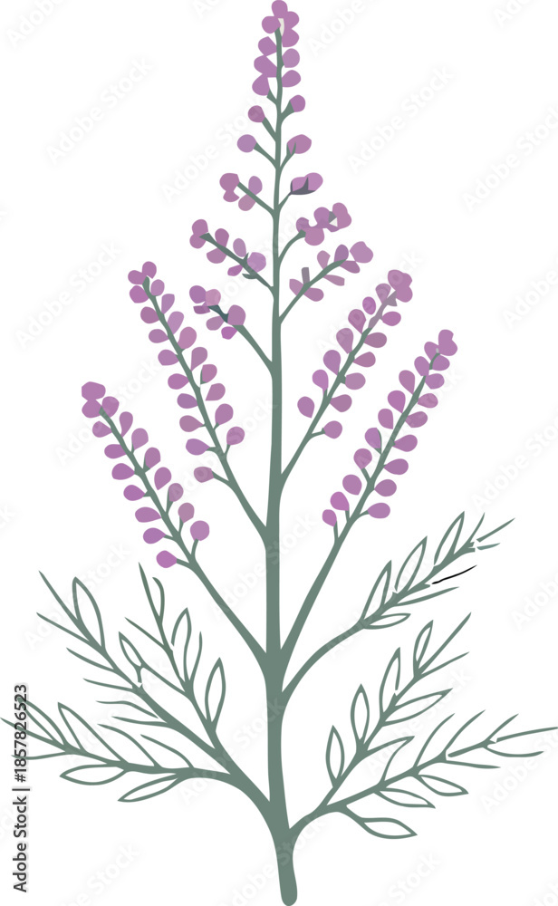 Fototapeta premium Lavender colored wild lupine branch with green leaves on transparent background plant logo