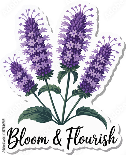 Purple agastache flower bloom flourish sticker logo vector on transparent background