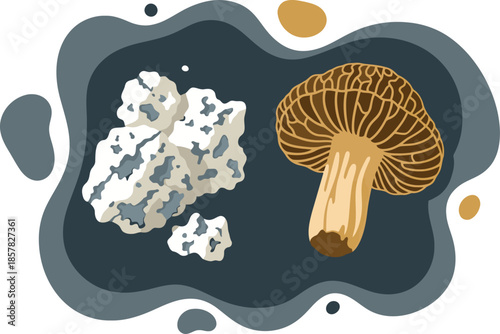 Artisan cheese and mushroom arrangement. Rustic textures and earthy tones create a visually appealing, handcrafted aesthetic. Perfect for food, lifestyle, or craft-related projects.