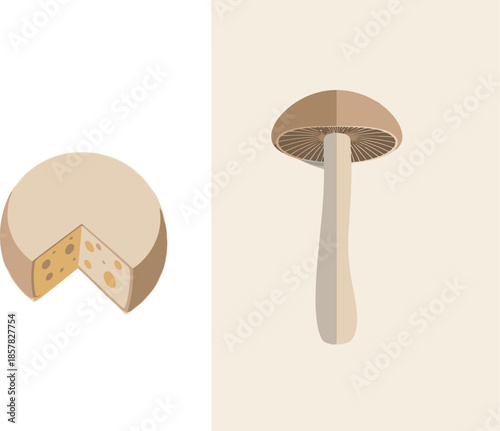 A minimalist illustration showcases a wedge of cheese and a mushroom, set against contrasting dark and light backgrounds. Clean, modern design with subtle shadows.