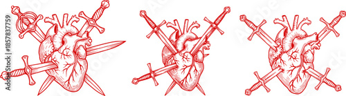 Set of Realistic Human Heart Pierced with Three Swords, Hand-Drawn Black and White Line Art Vector Illustration for Flash Tattoo or Vintage Print Design