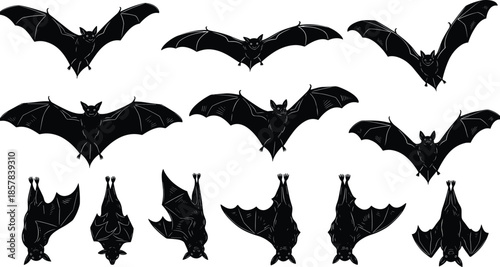 Black bat silhouettes collection, flying and hanging bats set, halloween decoration elements, nocturnal animals, wings spread, upside down, white background,