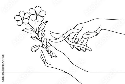 Minimalist line art of hands pruning a delicate flowering plant with shears