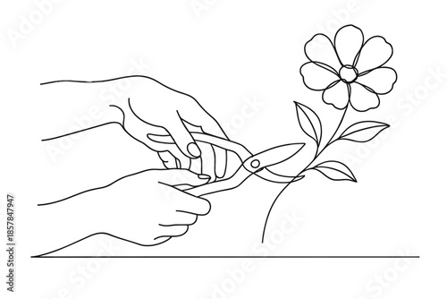 Hands using pruning shears to cut a flower stem in a minimalist line art style