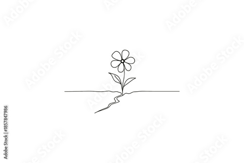 Minimalist single line drawing of a flower growing through a crack in the ground