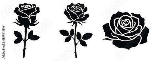 rose flower silhouette icon set, black color and white background