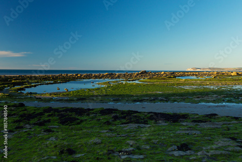 Landscape in Cote d'Opale, France