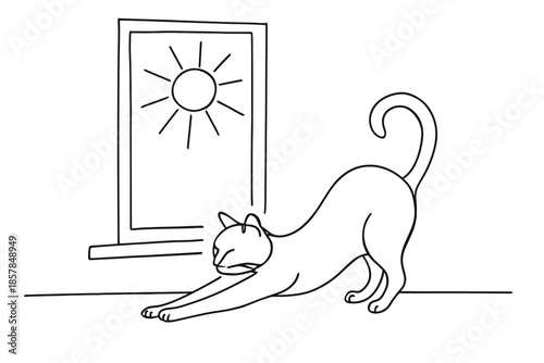 Simple line drawing of a cat stretching in front of a sunny window