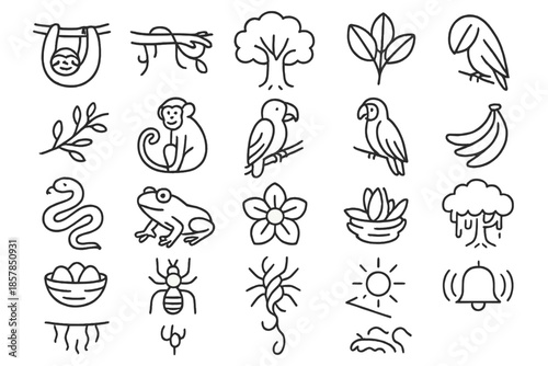Canopy Wildlife Icons. Line style icons of canopy wildlife: Sloth, Vine, Tree, Leaves, Branch, Monkey, Parrot, Toucan, Snake, Frog