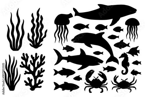 set of fish,
Set of Algae Fish Black Silhouette – Isolated Vector Illustration