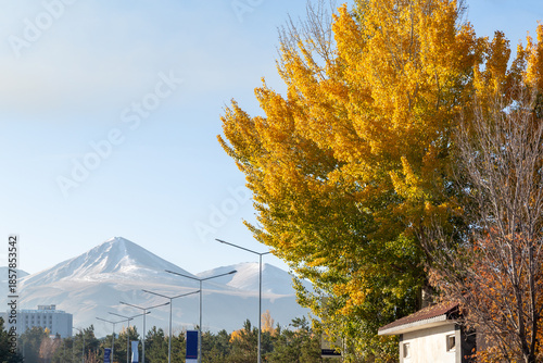 Autumn and winter together in Erzurum near ataturk university