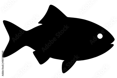 fish vector illustration,
Trout Silhouette Vector Illustration