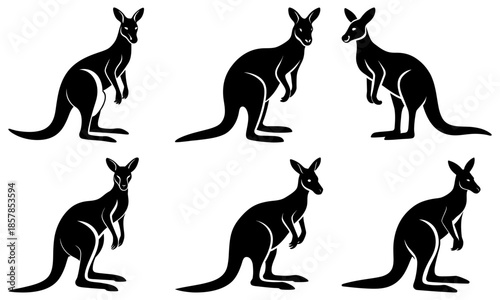 Five black kangaroo silhouettes on white background animal