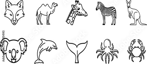 Collection of various wild animals and marine creatures