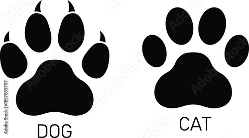 Black dog and cat paw prints with text labels dog paw animal track