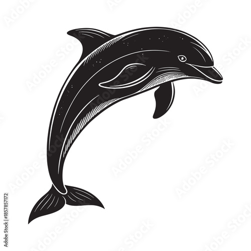 Ocean Mammal Wildlife Icon EPS.