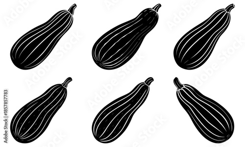 Five Black Zucchini Vegetables with White Stripes on White Background