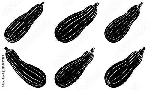 Five black and white zucchini vegetable on a transparent background silhouette