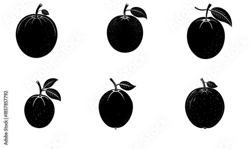 Five black plums with leaves on white background fruit leaf