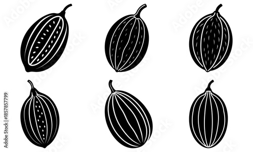 Six black and white cocoa pods with seeds on a white background six pods