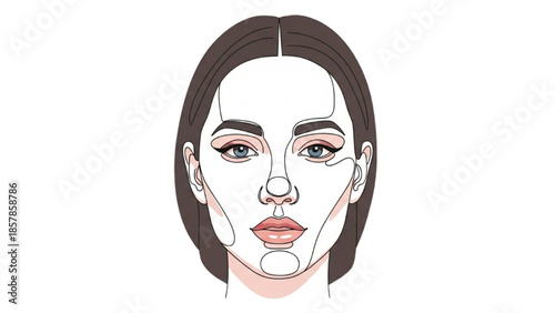 A woman's face is illustrated with facial features highlighted for beauty and makeup techniques.