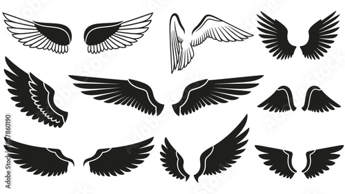 Collection of diverse black wings in various styles, symbolizing freedom and power on an isolated white background.