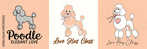 Love Has Class, Just Like a Poodle!