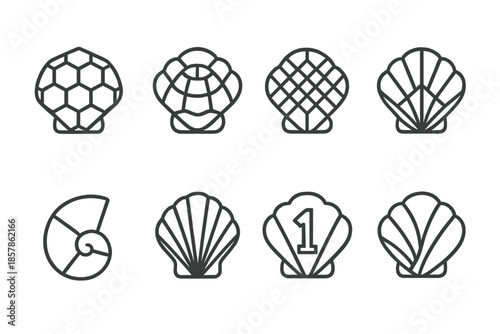 Shell Pattern Icons. Line style icons of shell pattern metrics: hex map, turtle dome, structured pattern, geometric division,