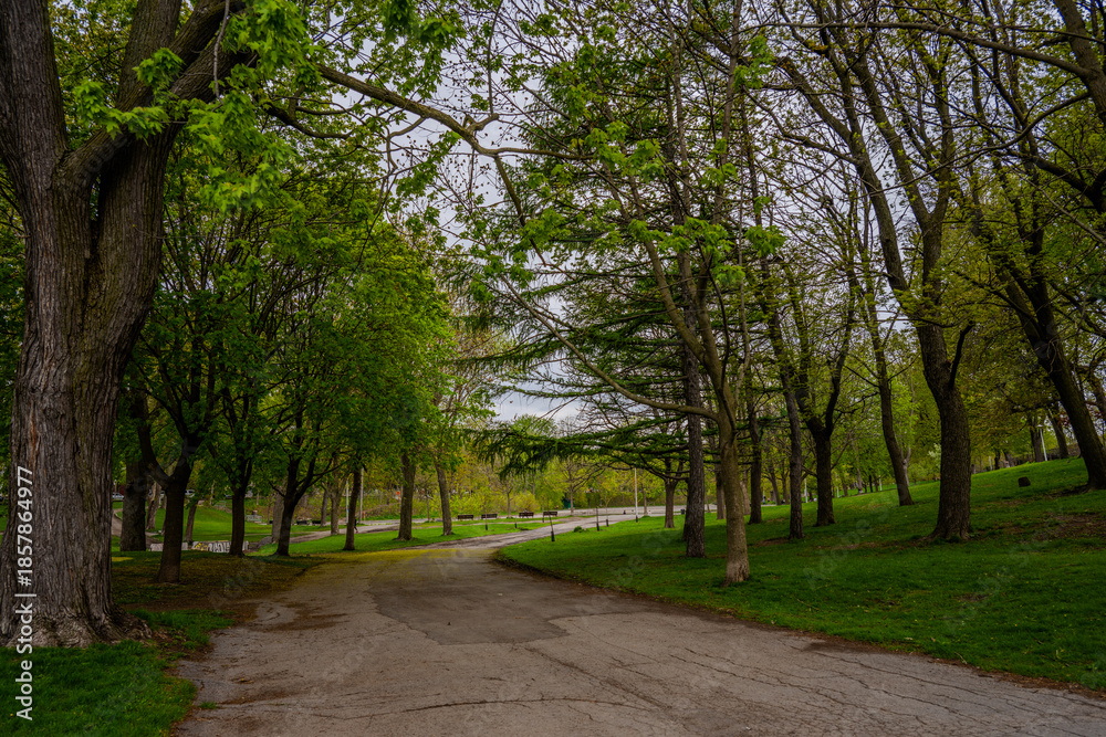 Obraz premium Tree-lined path in Mount Royal Park