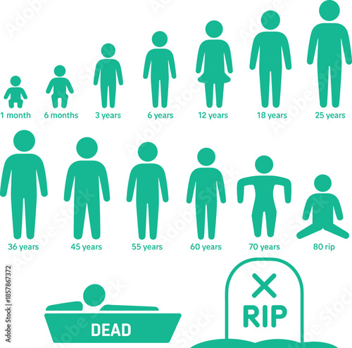 Human life cycle icons showing growth stages from infancy to adulthood, aging, and death, educational silhouette design for biology and learning
