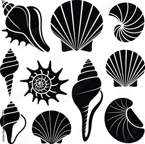 Black seashell silhouettes set with various sea shell shapes including scallop conch and nautilus isolated on white background for marine design