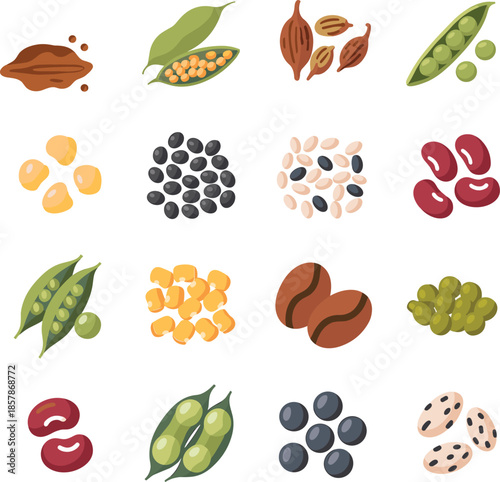 Colorful Grid of Seeds, Beans, and Pods – Nutritional Legume Collection Vector for Agriculture, Culinary, Botanical, and Educational Design Projects