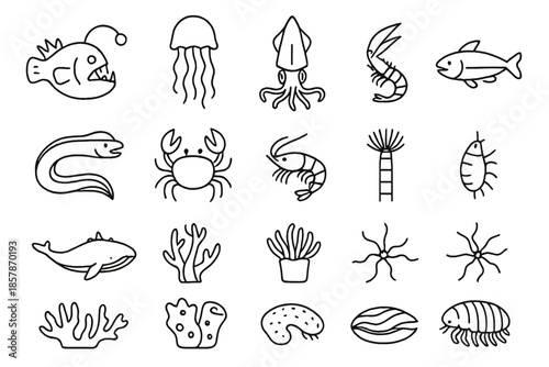 Deep Sea Icon Collection. Line style icons of deep sea creatures: anglerfish, jellyfish, squid, octopus, eel, crab, shrimp,