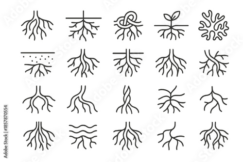 Root Network Icons. Line style icons of roots and growth: branching roots, underground network, root knot, sprouting seed, soil