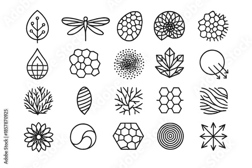 Biomimicry Design Icons. Line style icons of Biomimicry Design: leaf circuit, dragonfly wing, bee eye lens, shell spiral, water