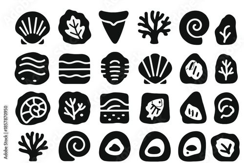 Underwater Fossil Icons. Solid style icons of Underwater fossils: ancient shell, sea imprint, ocean relic, coral fossil, ammonite,