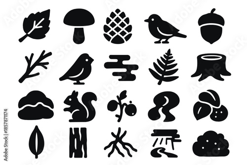 Autumn Woodland Icons. Solid style icons of Autumn Woodland: fallen leaf, mushroom, pinecone, acorn, branch, bird, mist, dew drop,