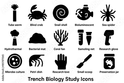 Trench Biology Icons. Solid style icons of Trench Biology Study: tube worm, blind crab, snail shell, bioluminescent fish,