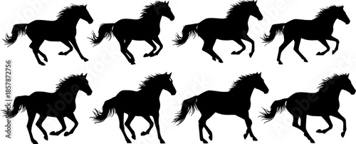 silhouette horse running, collection
