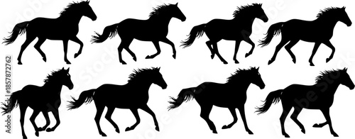 silhouette horse running, collection
