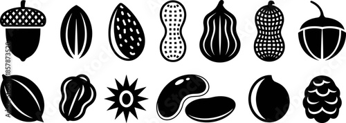 Vector set of thirteen black nut and seed silhouettes including peanuts, acorns, and almonds isolated on white background for food design. (22 words)