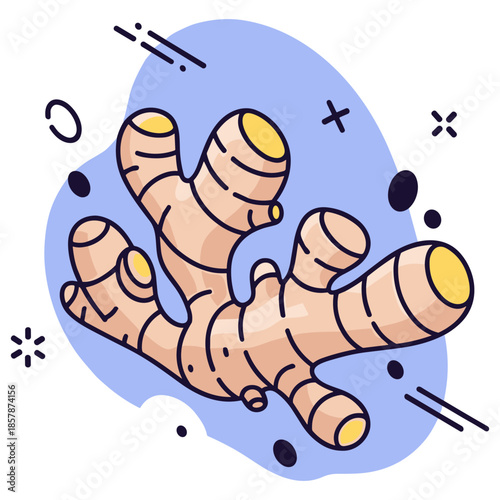 Stylized ginger root illustration on blue abstract background