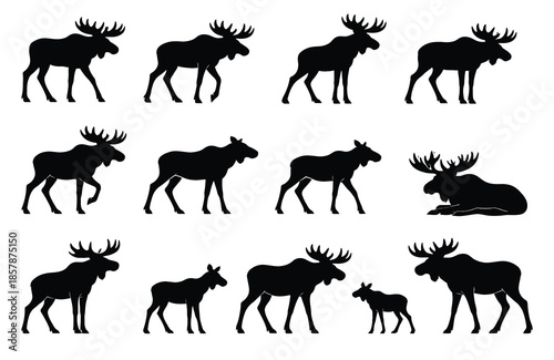 Collection of black moose silhouettes in various poses on white background animal