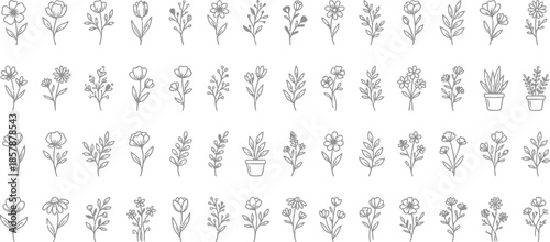 Billede på lærred Flower and botanical icon set, vector glyph silhouettes featuring magnolia, dahl