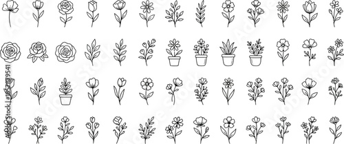 Flower and Botanical Silhouette Vector Icon Set –  Magnolia, Dahlia, Calla Lily, Primrose and Garden Plants  for Web UI and App Design