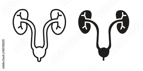 Urology icons. silhouette icon vector flat illustration on white background. line art icons