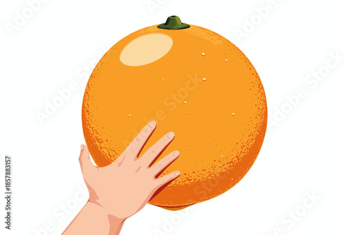 Illustration of a Hand Reaching Towards a Large Orange with Textural Details Highlighted on a White Background Emphasizing Citrus Freshness