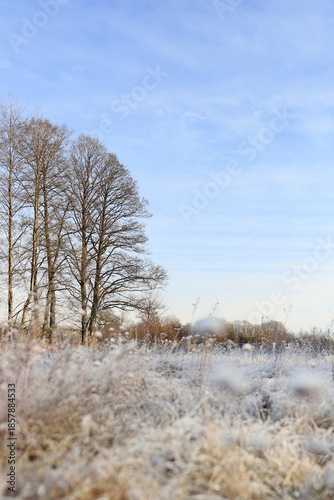 Wallpaper Mural Winter landscapes on the Pisa River Torontodigital.ca